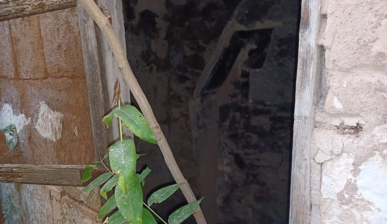 ds8qxFaMKO3mS5cCoGEvabb2N
